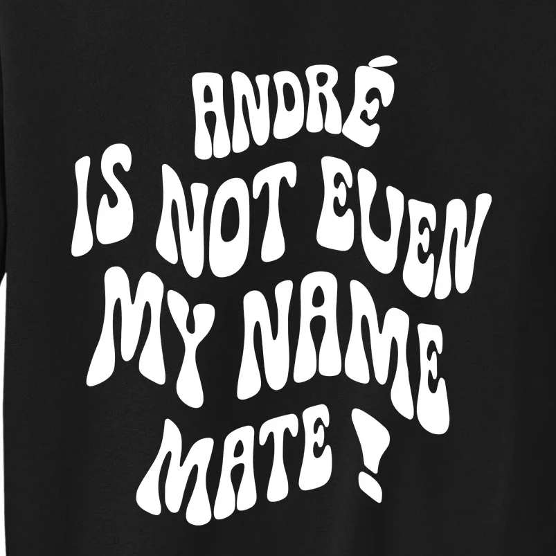 André Is Not Even My Name Mate Tall Sweatshirt