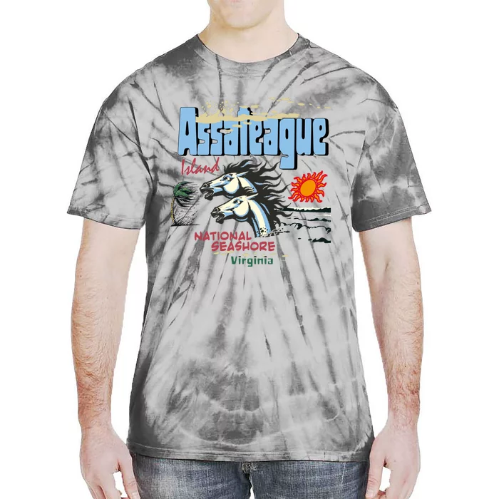 Assateague Island National Seashore Tie-Dye T-Shirt