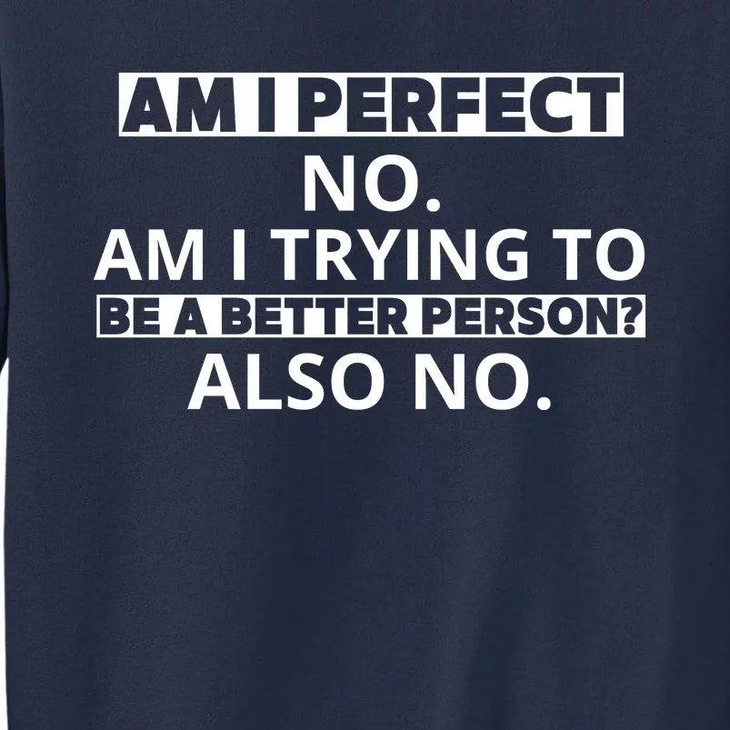 Am I Perfect No Am I Trying To Be A Better Person Also No Sweatshirt