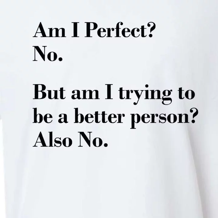 Am I Perfect Sueded Cloud Jersey T-Shirt