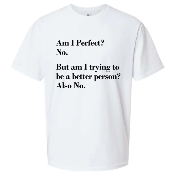 Am I Perfect Sueded Cloud Jersey T-Shirt