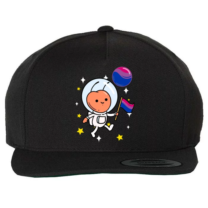 Ant In Space Bisexual Pride Gift Wool Snapback Cap