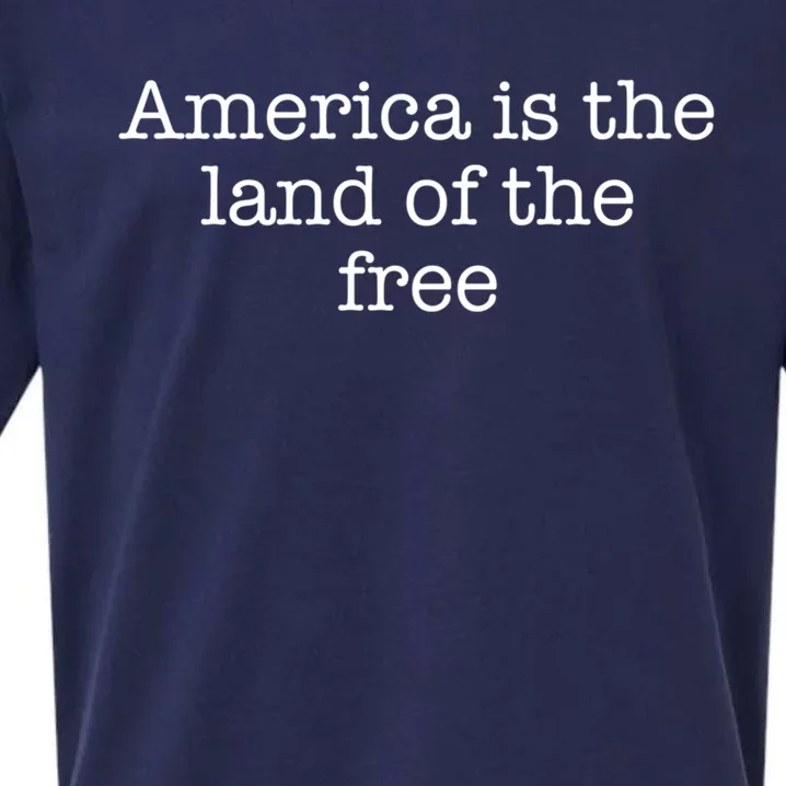 America Is The Land Of The Free Gift Sueded Cloud Jersey T-Shirt