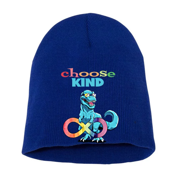 Autism Infinity Trex Choose Kind Gift Short Acrylic Beanie