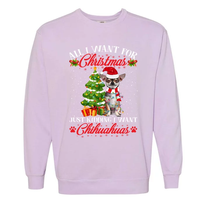 All I Want For Christmas Just Ding I Want Chihuahuas Gift Garment-Dyed Sweatshirt