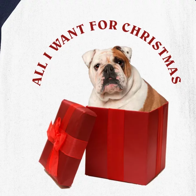 All I Want For Christmas English Bulldog Cool Gift Baseball Sleeve Shirt