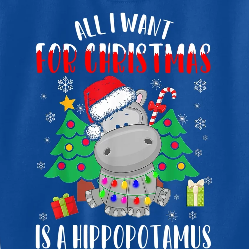 All I Want For Christmas Is A Hippopotamus Buffalo Plaid Great Gift Kids Sweatshirt