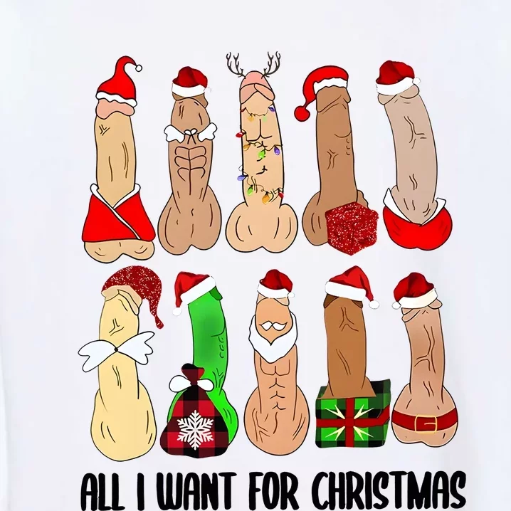 All I Want For Christmas Funny Christmas Couple Dick Adult Joke Garment-Dyed Sweatshirt