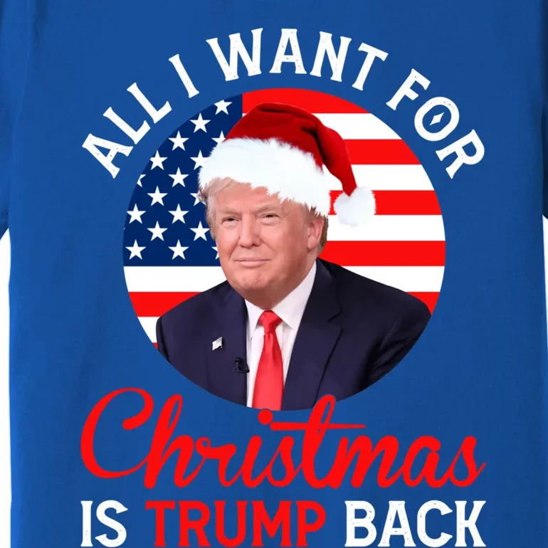 All I Want For Christmas Is Trump Back And New President Gift Premium T-Shirt