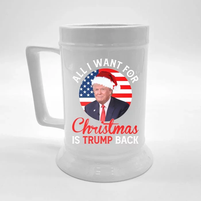 All I Want For Christmas Is Trump Back And New President Gift Front & Back Beer Stein