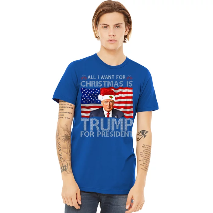 All I Want For Christmas Is Trump For President Trump 2024 Premium T-Shirt