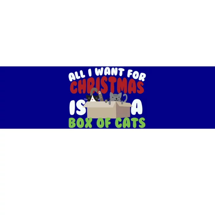 All I Want For Christmas Is A Box Of Cats Gift Bumper Sticker