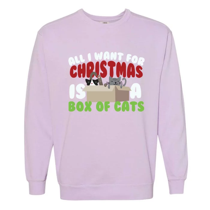 All I Want For Christmas Is A Box Of Cats Gift Garment-Dyed Sweatshirt