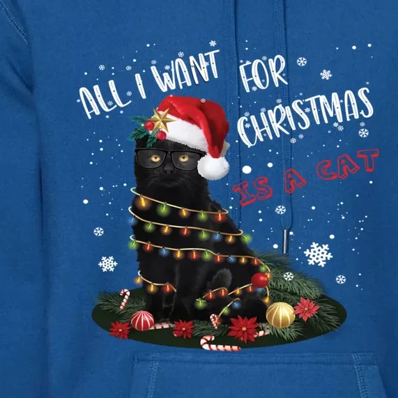 All I Want For Christmas Is A Cat Funny Xmas Cute Gift 2020 Gift Premium Hoodie