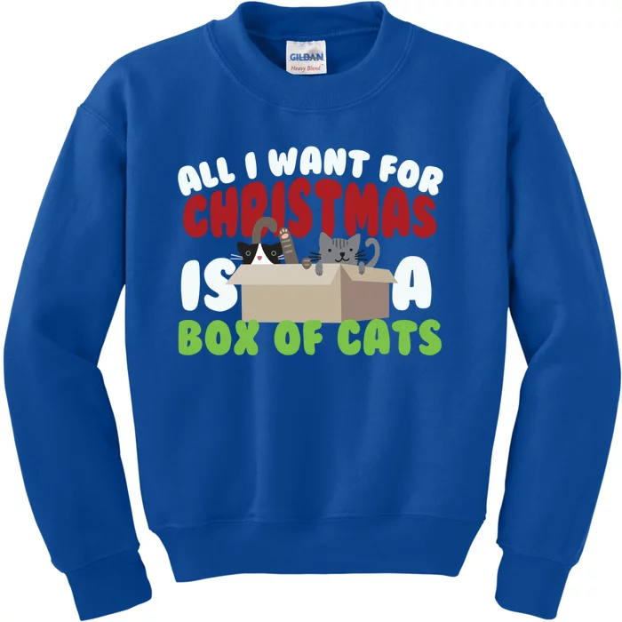 All I Want For Christmas Is A Box Of Cats Gift Kids Sweatshirt