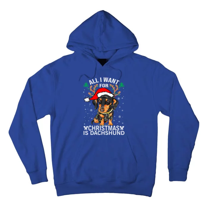 All I Want For Christmas Is More Dog Dachshund Christmas Funny Gift Tall Hoodie