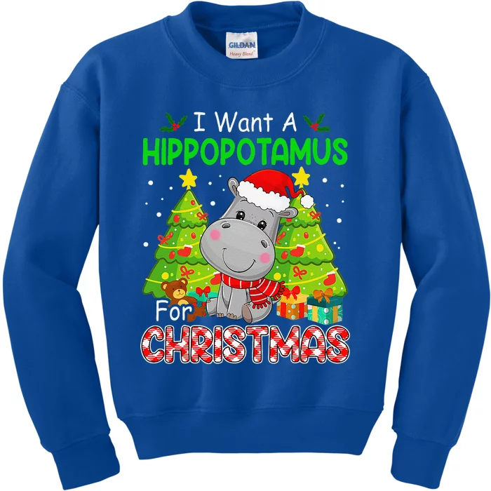 All I Want For Christmas Is Hippopotamus Cute Hippo Xmas Kids Sweatshirt