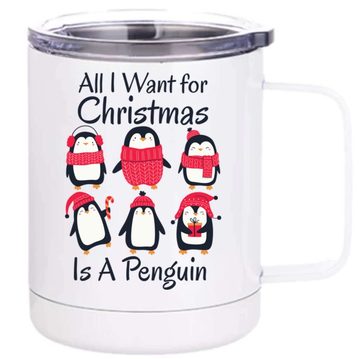 All I Want For Christmas Is A Penguin Xmas Funny Animal Cool Gift Front & Back 12oz Stainless Steel Tumbler Cup