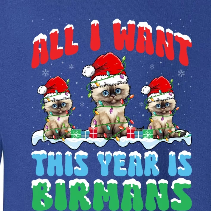 All I Want This Year Is Bir Cat Wearing Christmas Hat Cute Gift Toddler Sweatshirt