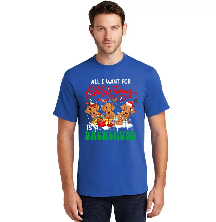 All I Want For Xmas Is A Dachshund Three Santa Reindeer Dogs Funny Gift Tall T-Shirt