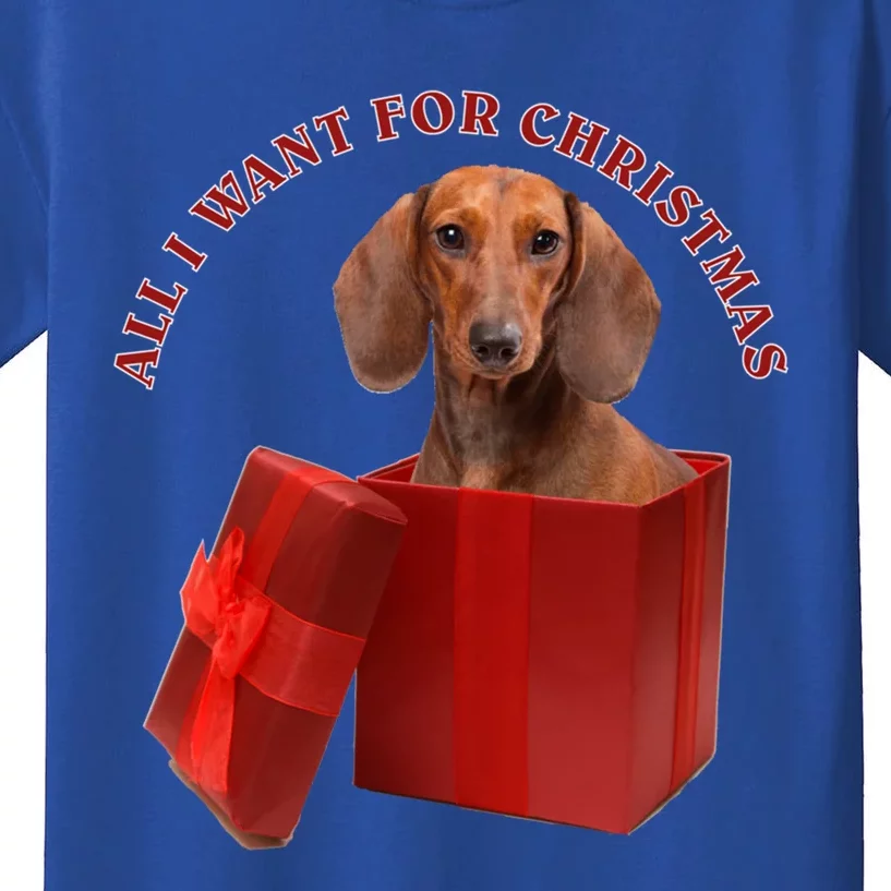 All I Want For Christmas Dachshund Funny Gift Kids T-Shirt