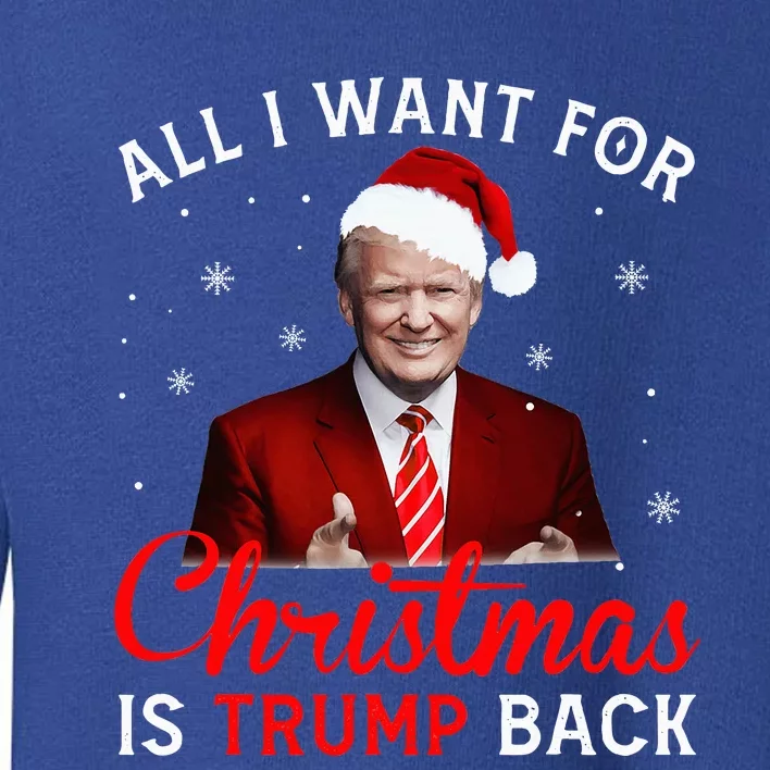 All I Want For Christmas Is Trump Back And New President Toddler Sweatshirt