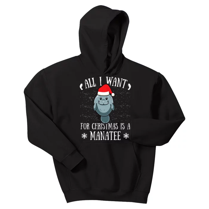 All I Want For Christmas Is A Manatee With Santa Claus Hat Kids Hoodie