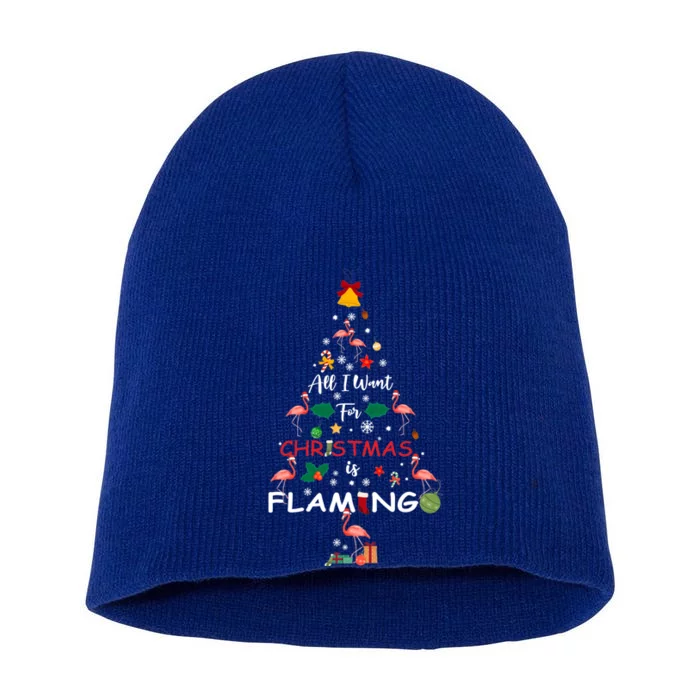 All I Want For Christmas Is Flamingo Funny Flamingo Lovers Gift Short Acrylic Beanie