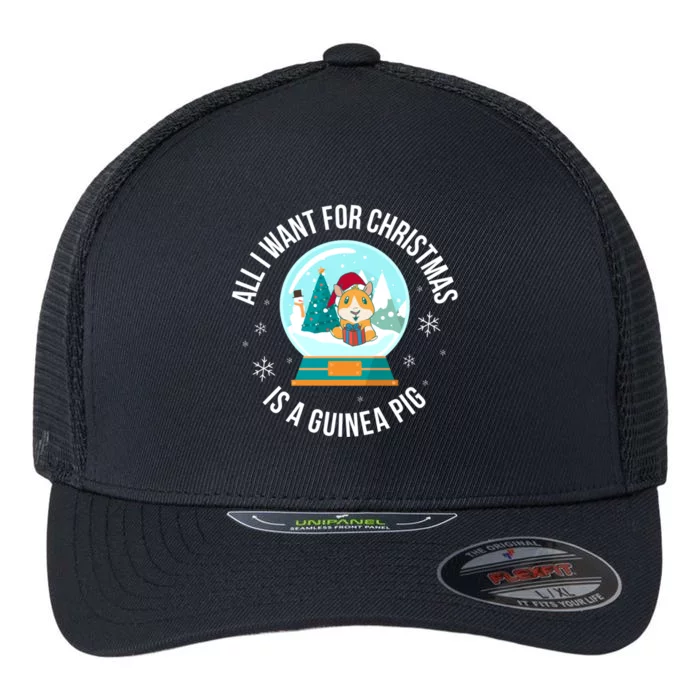 All I Want For Christmas Is A Guinea Pig Gift Flexfit Unipanel Trucker Cap