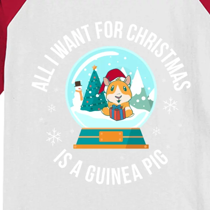 All I Want For Christmas Is A Guinea Pig Gift Kids Colorblock Raglan Jersey