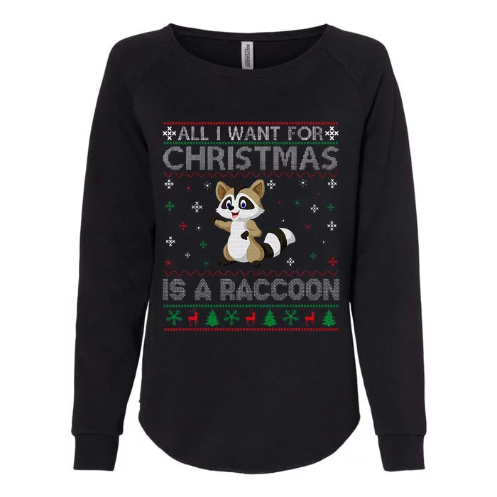 All I Want for Christmas is a Raccoon Ugly Xmas Sweater Womens California Wash Sweatshirt