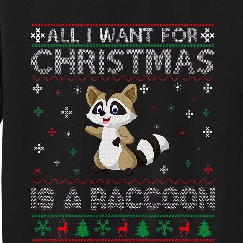 All I Want for Christmas is a Raccoon Ugly Xmas Sweater Tall Sweatshirt