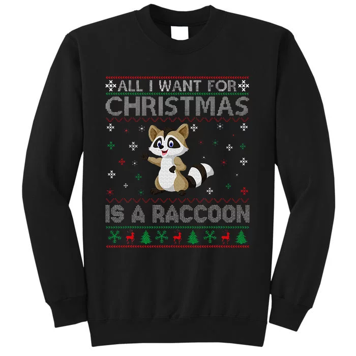 All I Want for Christmas is a Raccoon Ugly Xmas Sweater Tall Sweatshirt