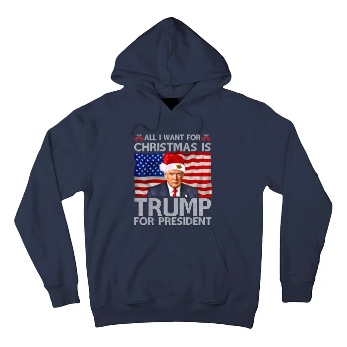 All I Want For Christmas Is Trump For President Trump 2024 Hoodie