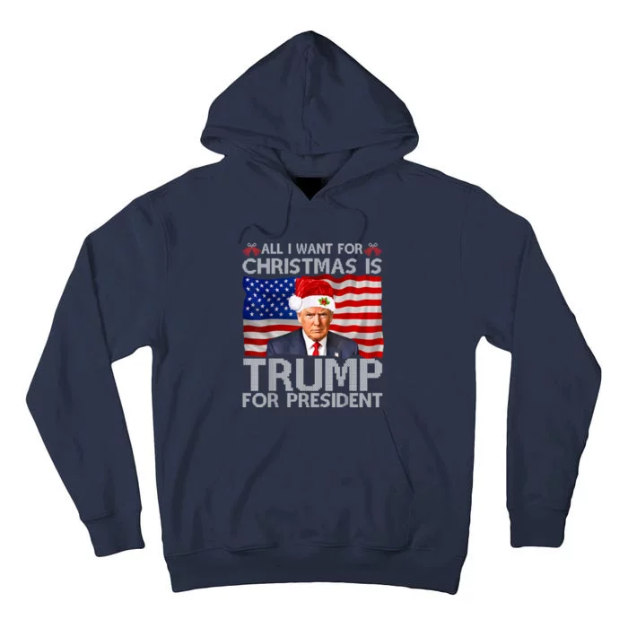 All I Want For Christmas Is Trump For President Trump 2024 Tall Hoodie