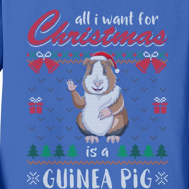 All I Want For Christmas Is A Guinea Pig Santa Claus Funny Gift Kids Long Sleeve Shirt