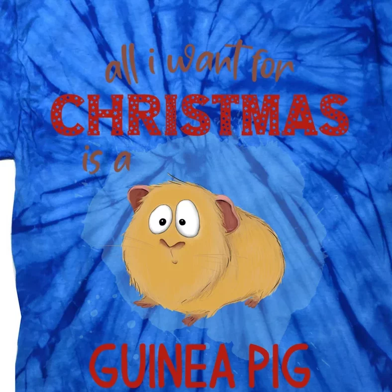 All I Want For Christmas Is A Guinea Pig Xmas Gift Tie-Dye T-Shirt