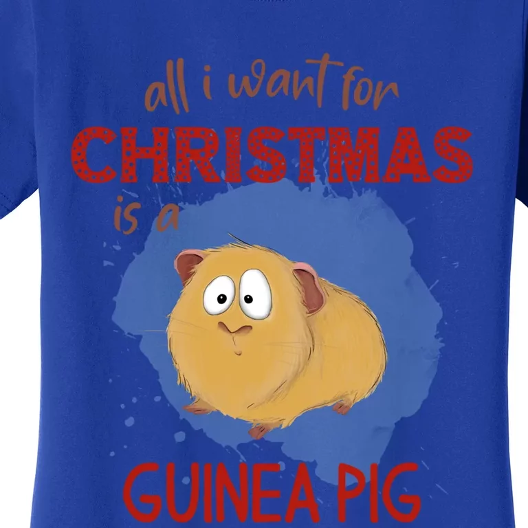 All I Want For Christmas Is A Guinea Pig Xmas Gift Women's T-Shirt