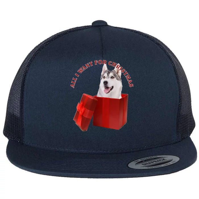 All I Want For Christmas Siberian Husky Gift Flat Bill Trucker Hat