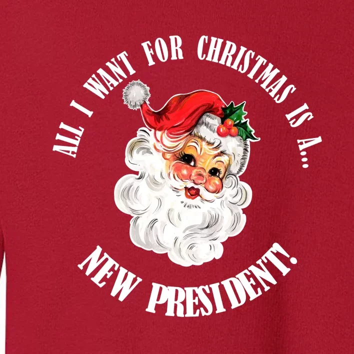 All I Want For Christmas Is A New President Funny Word Play Toddler Sweatshirt