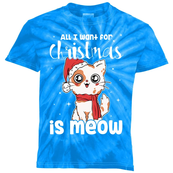 All I Want For Christmas Is Meow Xmas Cat Lovers Gift Kids Tie-Dye T-Shirt