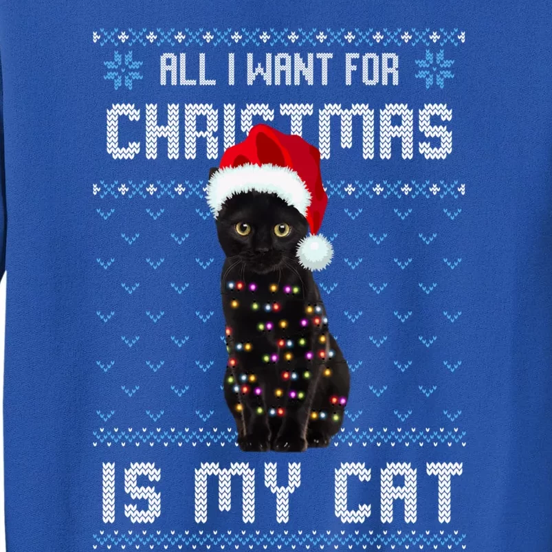 All I Want For Christmas Is My Cat Ugly Christmas Sweater Meaningful Gift Tall Sweatshirt