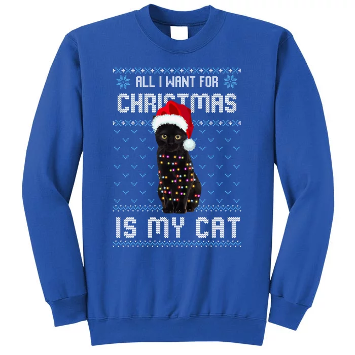 All I Want For Christmas Is My Cat Ugly Christmas Sweater Meaningful Gift Tall Sweatshirt