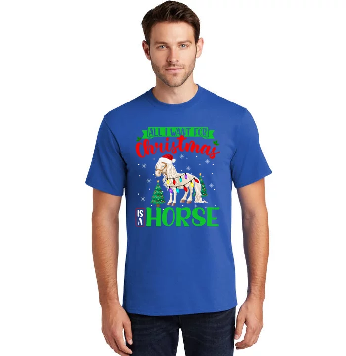 All I Want For Christmas Is A Horse Xmas Santa Horse Gift Tall T-Shirt