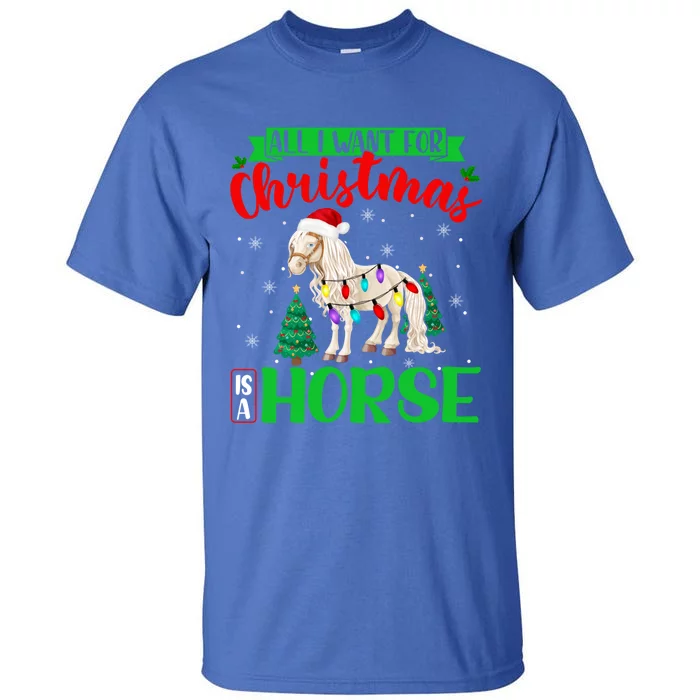 All I Want For Christmas Is A Horse Xmas Santa Horse Gift Tall T-Shirt