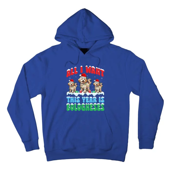 All I Want This Year Is Bolognese Dog Wearing Christmas Hat Gift Tall Hoodie