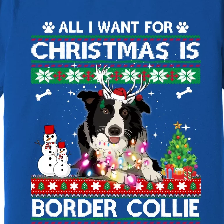 All I Want For Christmas Is Border Collie Dog Xmas Funny Gift Premium T-Shirt