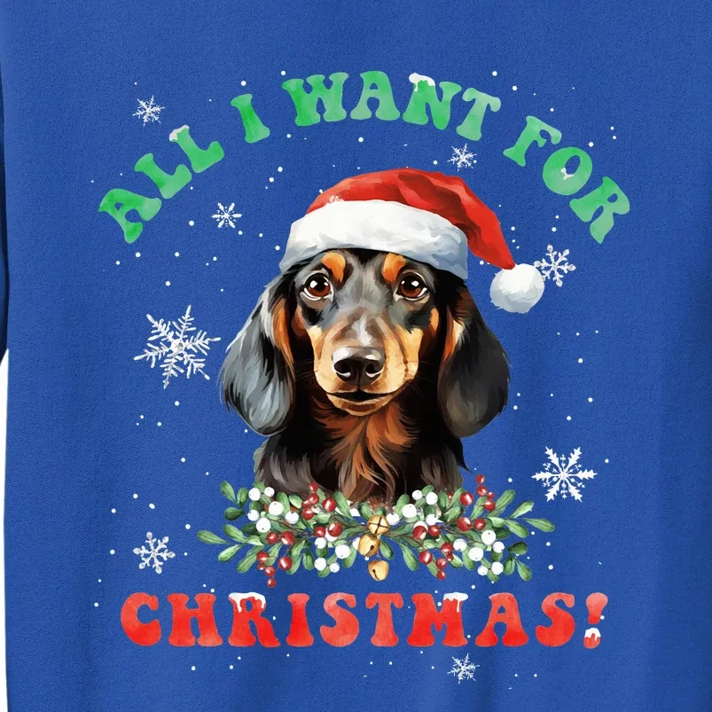 All I Want For Christmas Xmas Gifts For Dachshund Lovers Tall Sweatshirt