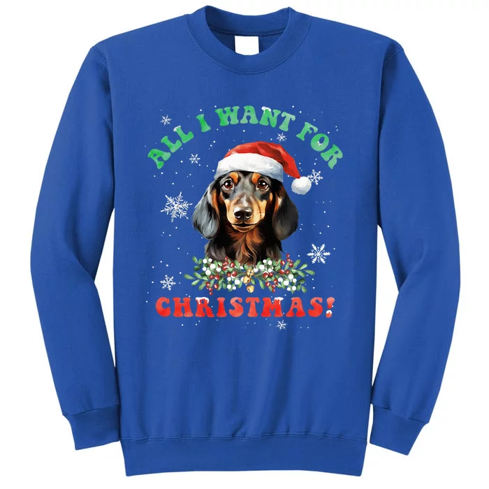 All I Want For Christmas Xmas Gifts For Dachshund Lovers Tall Sweatshirt