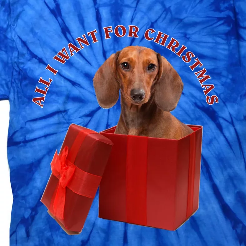 All I Want For Christmas Dachshund Gift Tie-Dye T-Shirt